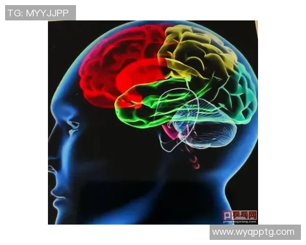 上海乒乓球队防反战术解析与实战应用探讨 上海乒乓球队防反战术解析与实战应用探讨