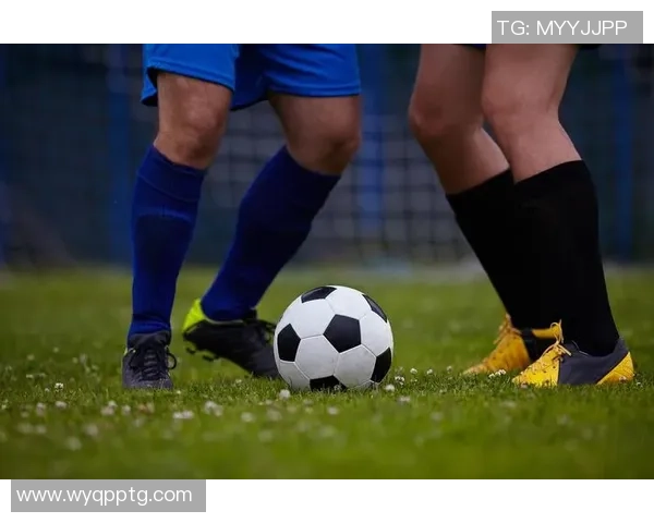 探索vpf足球的魅力与挑战如何改变现代足球的竞技格局与观赏体验