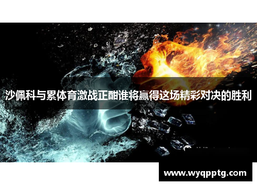 沙佩科与累体育激战正酣谁将赢得这场精彩对决的胜利