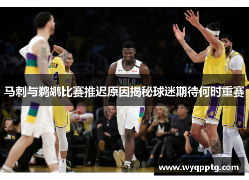 马刺与鹈鹕比赛推迟原因揭秘球迷期待何时重赛