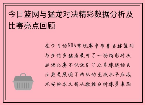 今日篮网与猛龙对决精彩数据分析及比赛亮点回顾